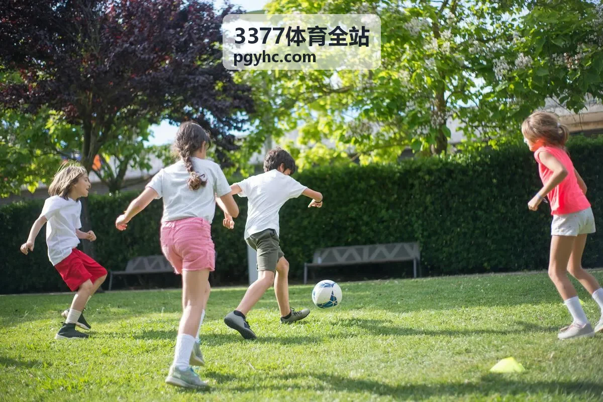 3377体育全站场馆管理